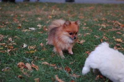 Oct6_04_485.JPG