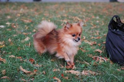 Oct6_04_486.JPG