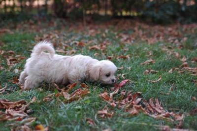 Oct6_04_494.JPG