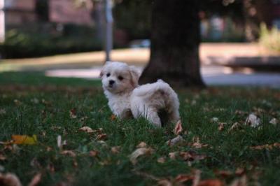 Oct6_04_509.JPG