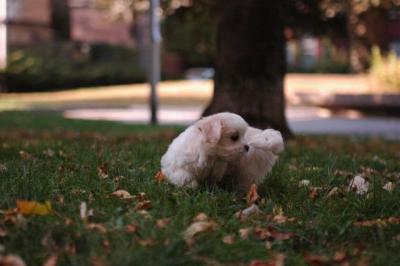 Oct6_04_513.JPG
