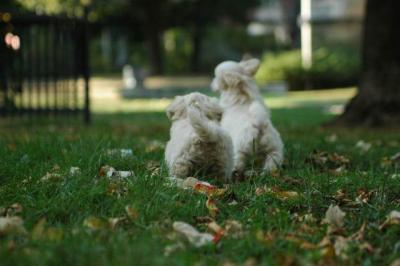 Oct6_04_528.JPG