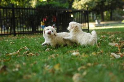 Oct6_04_535.JPG