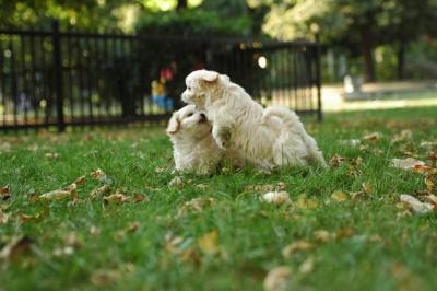 Oct6_04_536.JPG