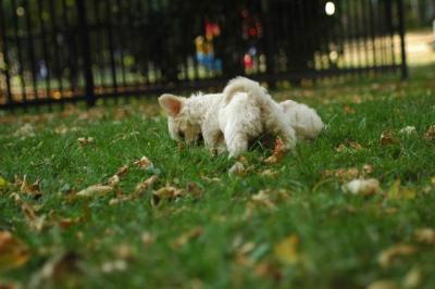Oct6_04_538.JPG