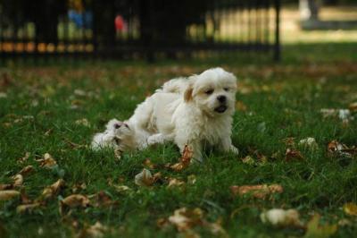 Oct6_04_545.JPG