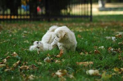 Oct6_04_547.JPG