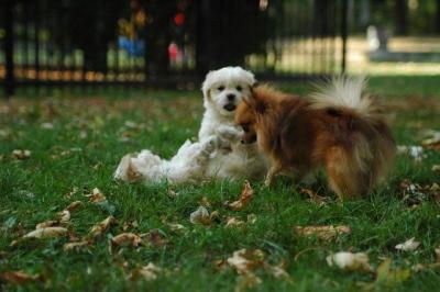 Oct6_04_573.JPG