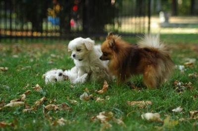 Oct6_04_574.JPG