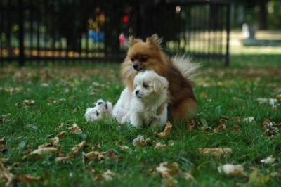 Oct6_04_580.JPG