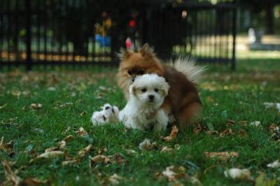Oct6_04_582.JPG