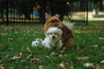 Oct6_04_583.JPG