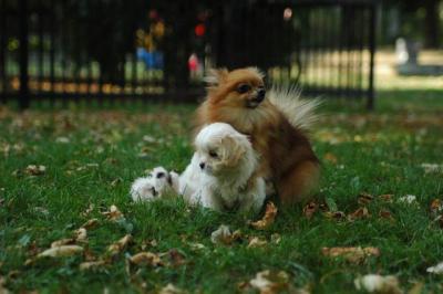 Oct6_04_584.JPG