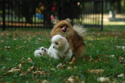 Oct6_04_585.JPG