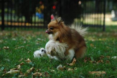 Oct6_04_589.JPG