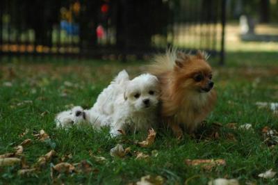 Oct6_04_594.JPG