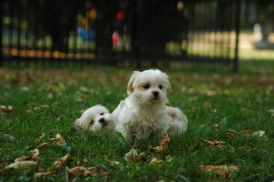 Oct6_04_598.JPG