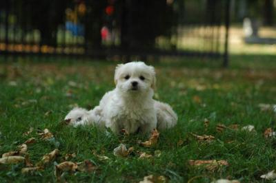Oct6_04_599.JPG