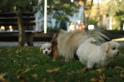 Oct6_04_615.JPG