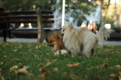 Oct6_04_620.JPG