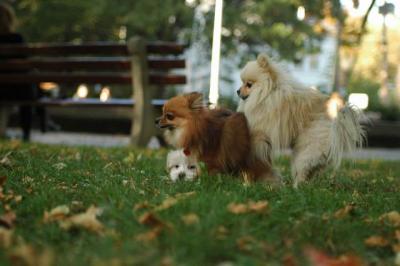 Oct6_04_623.JPG