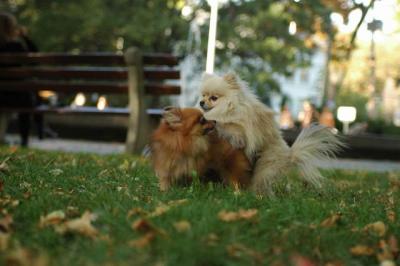 Oct6_04_626.JPG