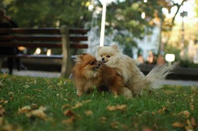 Oct6_04_627.JPG