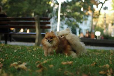 Oct6_04_628.JPG