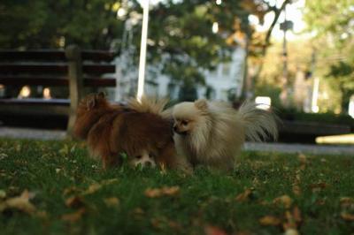 Oct6_04_633.JPG