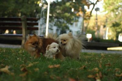 Oct6_04_634.JPG