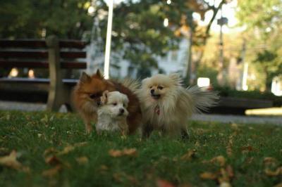 Oct6_04_635.JPG