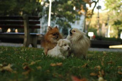 Oct6_04_636.JPG