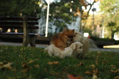 Oct6_04_637.JPG