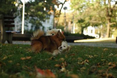 Oct6_04_639.JPG