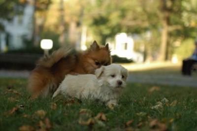Oct6_04_649.JPG