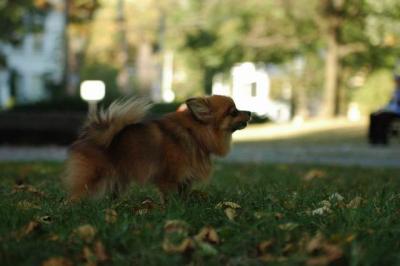 Oct6_04_650.JPG