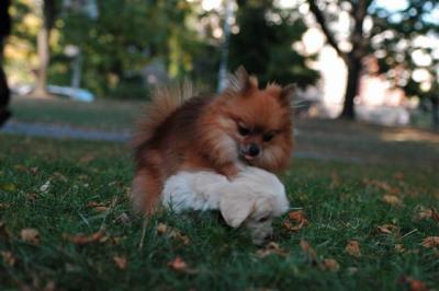 Oct6_04_651.JPG