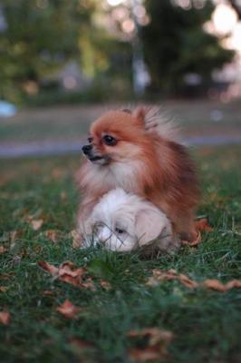 Oct6_04_653.JPG
