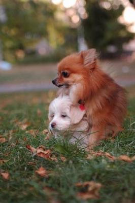Oct6_04_655.JPG