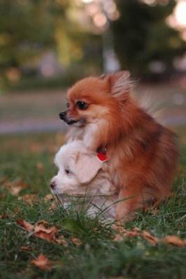 Oct6_04_656.JPG