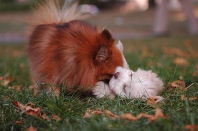 Oct6_04_663.JPG