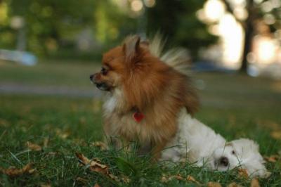 Oct6_04_666.JPG