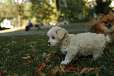 Oct6_04_667.JPG