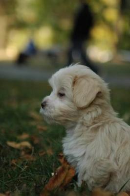 Oct6_04_679.JPG