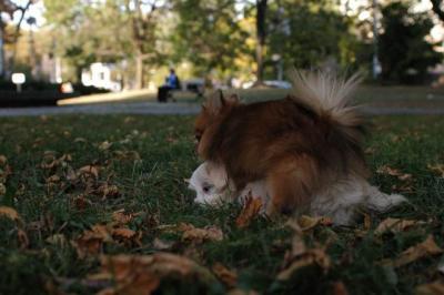 Oct6_04_683.JPG