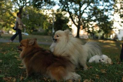 Oct6_04_691.JPG