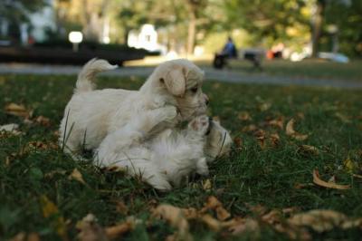 Oct6_04_703.JPG