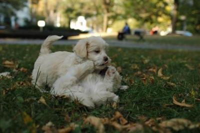 Oct6_04_704.JPG