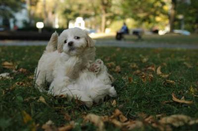 Oct6_04_705.JPG