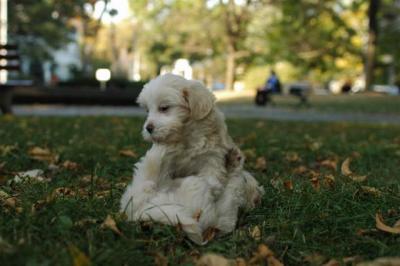 Oct6_04_707.JPG